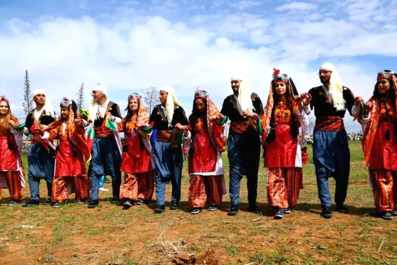 The Ayyubid State and Regional Influence